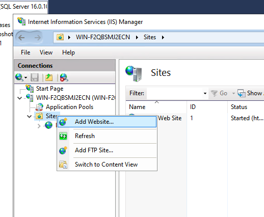 iis