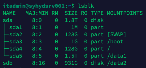 disks and its mount points
